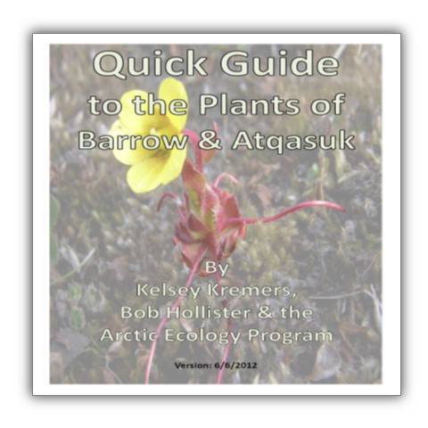 pdf Quick Guide to Barrow & Atqasuk Plants